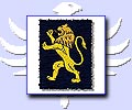 Embrodiered Lion